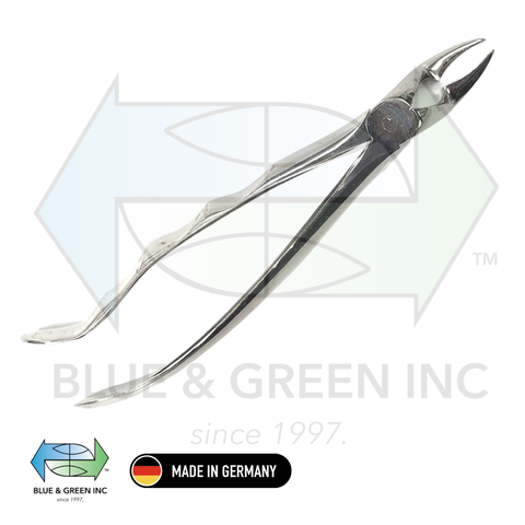 Forceps (1281P) - Blue & Green Inc.