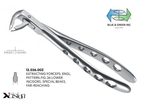 Extraction Forceps, Lower Incisors, Canines, and Premolars (12.036.00Z) Forceps - Blue & Green Inc.