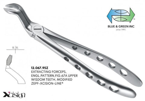 Extracting Forceps, Upper Wisdom Teeth (12.067.95Z) Forceps - Blue & Green Inc.