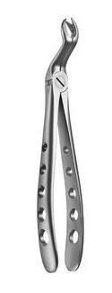 Cowhorn Extraction Forceps, Upper Wisdom Right (12.067.18Z) Forceps - Blue & Green Inc.