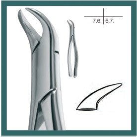 Cow Horn, Extraction Forceps, Lower Molars (14.023.00) - Blue & Green Inc.