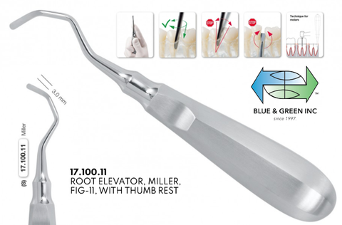 Root Elevator, Right, 3mm (17.100.11) - Blue & Green Inc.
