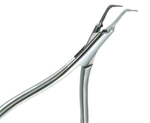 Nerve Canal Plier (19.561.13) Nerve Canal Plier - Blue & Green Inc.