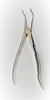 Extraction Forceps, Lower Root & Brooken Teeth (HSA 121-49P) Forceps - Blue & Green Inc.