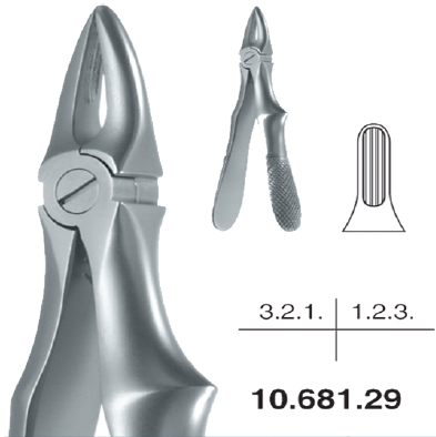 Childrens Forceps, Upper Incisors and Canine (10.681.29) - Blue & Green Inc.