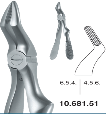 Childrens Forceps, Upper Roots (10.681.51) - Blue & Green Inc.