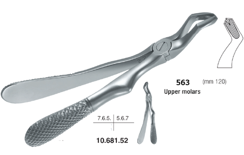 Childrens Forceps, Upper Molars (10.681.52) - Blue & Green Inc.