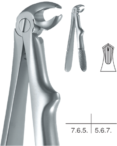 Childrens Forceps, Lower Molars (10.681.22) - Blue & Green Inc.