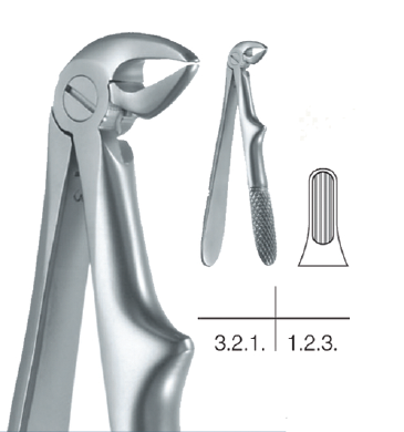 Childrens Forceps, Lower Incisors and Canines (10.681.33) - Blue & Green Inc.