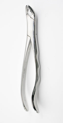 Forceps (600-151 AB P) Forceps - Blue & Green Inc.