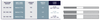 Abrasive Polyester Strip - Medium / Fine 6.0 (Pkg of 50) (10.302.009) - Blue & Green Inc.