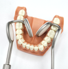 Tongue Holder and Suction (2424R)Devemed