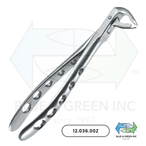 Extraction Forceps, Lower Incisors, Canines, and Premolars (12.036.00Z) - Blue & Green Inc.
