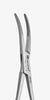 Forceps Curved (1524)