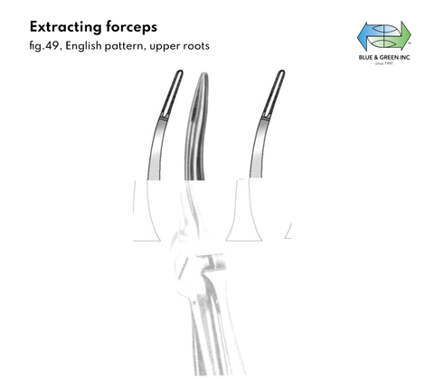 Extracting forceps, English Pattern, Upper Roots (Z 014-49) Forceps - Blue & Green Inc.