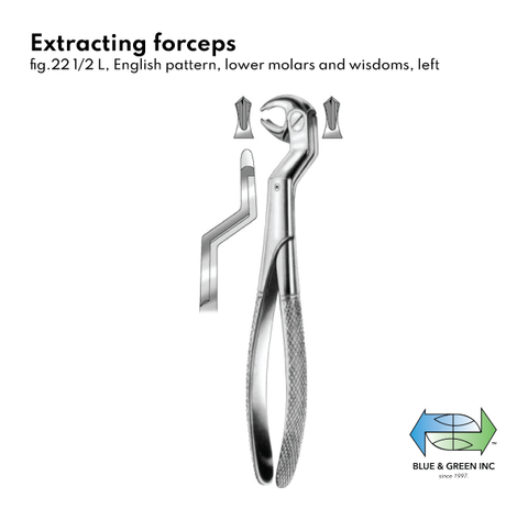 Extracting forceps (080-22) Forceps - Blue & Green Inc.