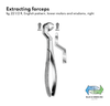 Wisdom teeth Extracting forceps (081-22) Forceps - Blue & Green Inc.