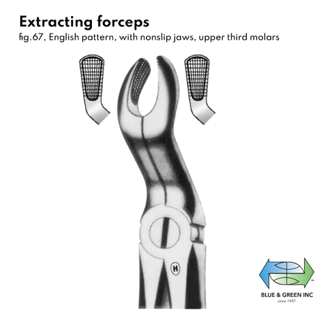Extracting forceps (107-67) Forceps - Blue & Green Inc.