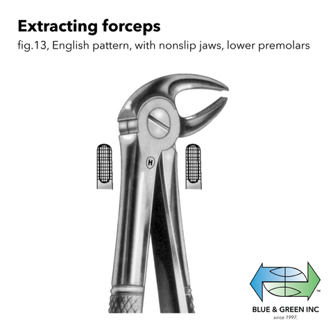 Extracting forceps (Z 111-13) Forceps - Blue & Green Inc.