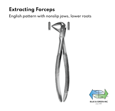 Extracting forceps, English Pattern, with non slip jaws, lower roots(Z 117-74) Forceps - Blue & Green Inc.