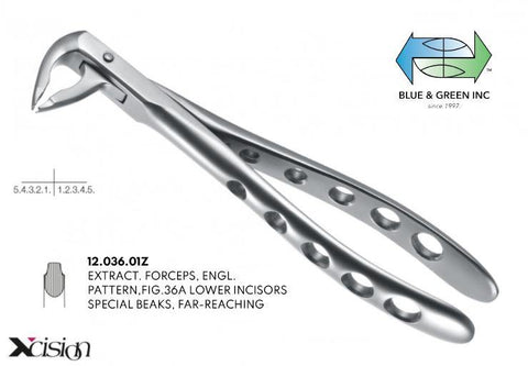 Extraction Forceps, Lower Incisors (12.036.01Z) Forceps - Blue & Green Inc.