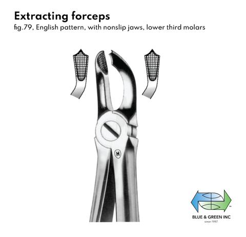 Extracting Forceps(120-79) Forceps - Blue & Green Inc.