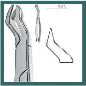 Cowhorn Extraction Forceps, Upper Molars Right Side (14.088.15) - Blue & Green Inc.