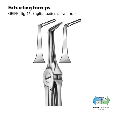 Root Extracting forceps lower (Z 154-46) Forceps - Blue & Green Inc.