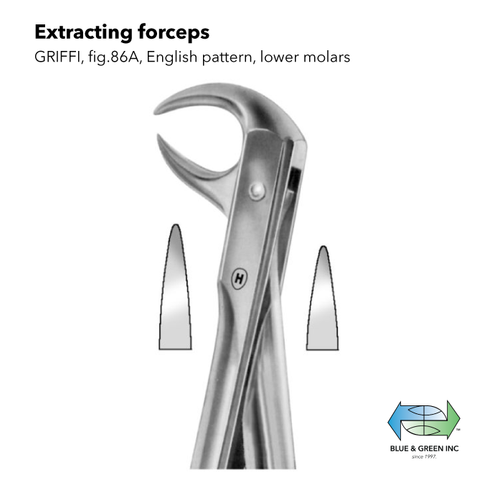 Cowhorn Extracting forceps (161-86) Forceps - Blue & Green Inc.