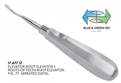77R distal Root Elevator, Serrated Distal (17.677.17) Elevator - Blue & Green Inc.