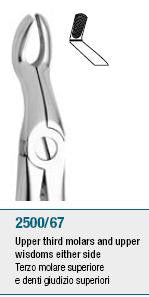 Extraction Forceps, Upper Thirds Molars and Wisdom Teeth, Universal (2500/67) Forceps - Blue & Green Inc.