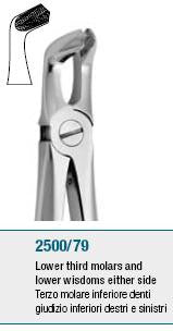 Extraction Forceps, Lower Thirds Molars and Wisdom Teeth, Universal (2500/79) Forceps - Blue & Green Inc.