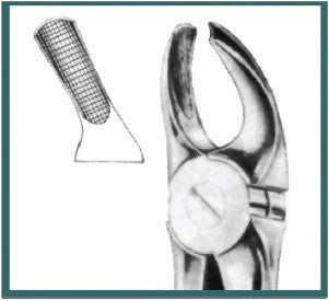 Extraction Forceps, Upper Molars, Left side (400/18 H) - Blue & Green Inc.