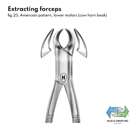 Extracting forceps (ZHSA 401-23) Forceps - Blue & Green Inc.