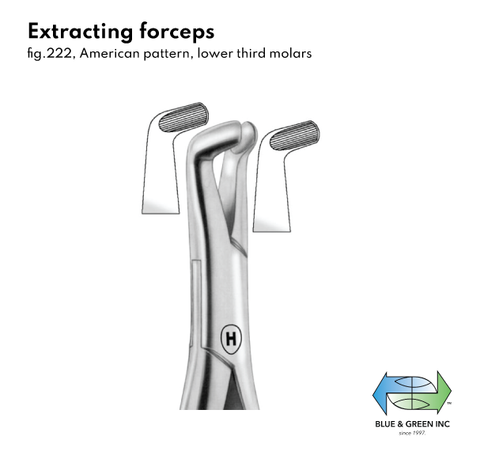 Extracting forceps (ZHSA 405-22) Forceps - Blue & Green Inc.