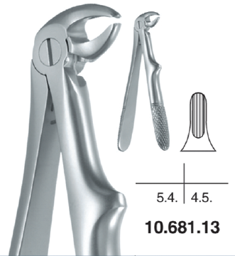 Childrens Forceps, Lower Roots (10.681.13) - Blue & Green Inc.