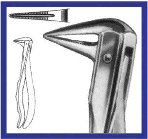 Extraction Forceps, Lower Roots (605 P) - Blue & Green Inc.