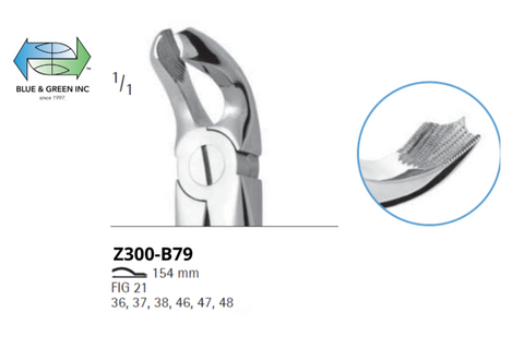 Lower Molar and Third Molar Z300-B79Chifa