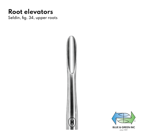 Seldin Root elevators (654-34) elevator - Blue & Green Inc.