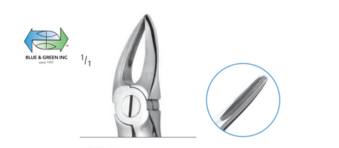 Upper Anterior Root and Premolar Forceps Z300-B95Chifa