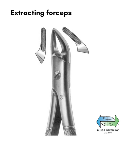 Universal forceps, English Pattern, upper roots, premolars (Z HSA 024-76) Forceps - Blue & Green Inc.