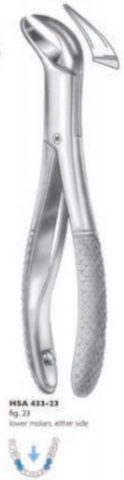 Extracting Forceps (432-17)