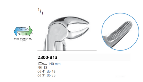 Lower Premolar and Incisor ( Z300-B13 )Chifa