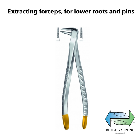 Extracting forceps, for lower roots and pins (z 208-06) Forceps - Blue & Green Inc.