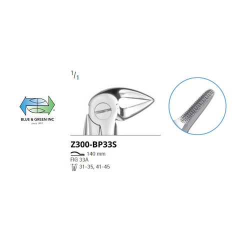 Lower Root and premolar Z300-B33SChifa