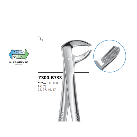 Lower Molar Forceps ( Z300-B73S )Chifa