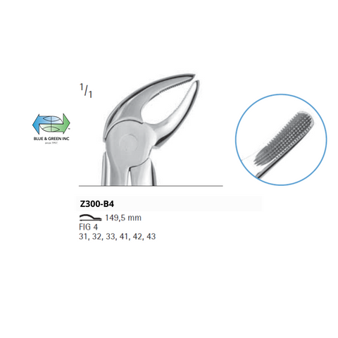 Lower anterior Forceps Z300-B4Chifa