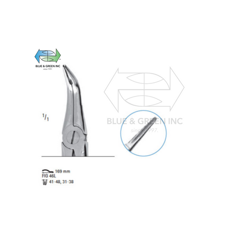 Extracting forceps # fig.46L (Z300-B46S) - Blue & Green Inc.