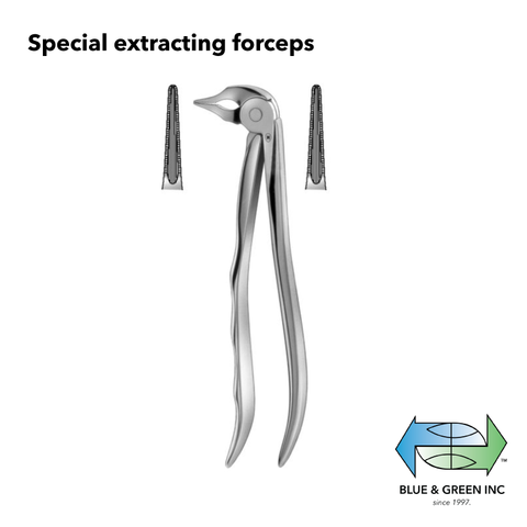 Special extracting forceps (ZHSA 254-33) Forceps - Blue & Green Inc.